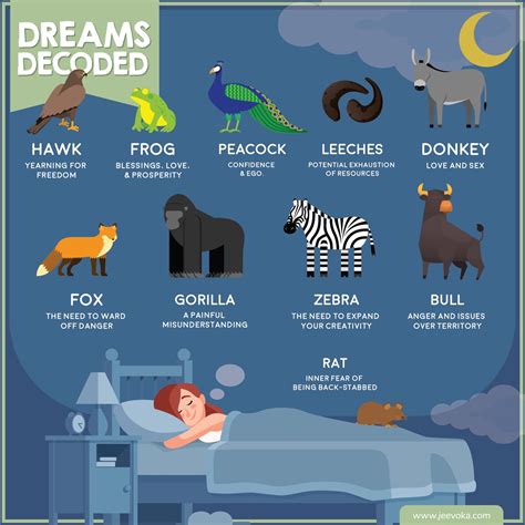 The Role of Animals in Dreams