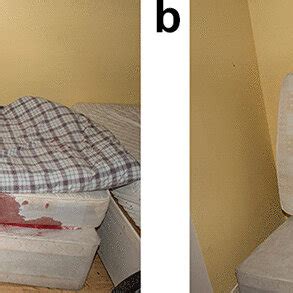 The Role of Context: Analyzing the Surroundings in Blood-Soaked Mattress Nightmares