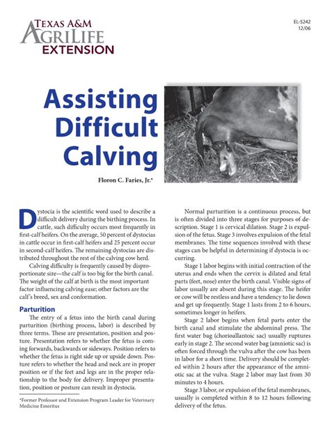 The Role of Humans in Assisting with Calving