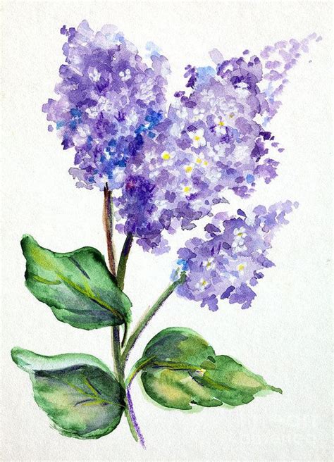 The Role of Lilac in Art and Design: Inspirations and Representations