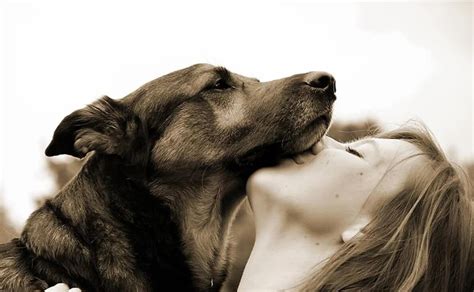 The Science Behind Dreams of Canine Affection
