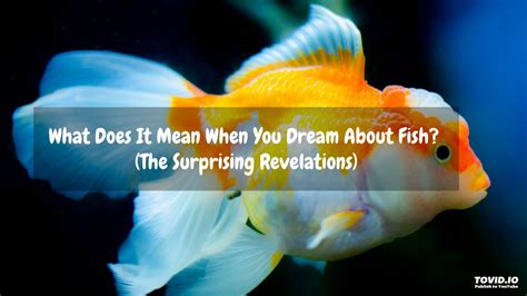 The Science Behind Fish Dreams: Revelation of the Neurological Explanations