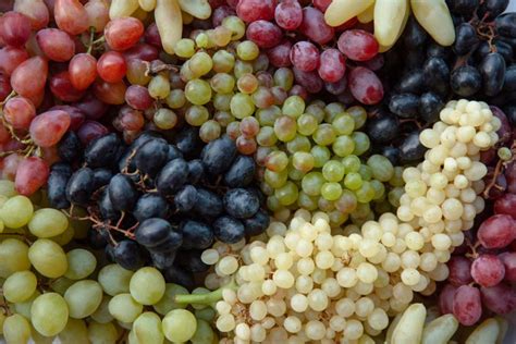 The Science Behind Grape Varieties and Their Distinctive Taste Profiles