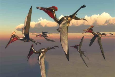 The Science of Flight: Unraveling the Mechanics behind Dinosaurs' Aerial Abilities