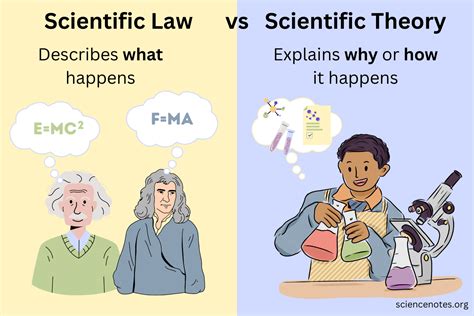 The Scientific Perspective: Common Causes and Explanations