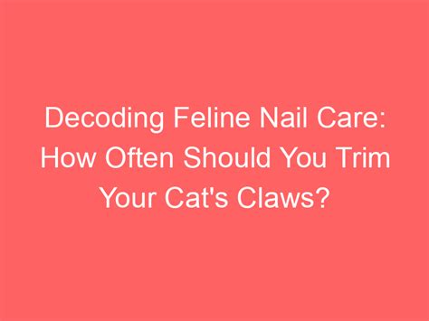 The Secrets Unveiled: Decoding the Meaning of Feline Nail Marks on Your Pale Palm