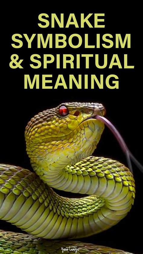 The Serpent as a Symbol of Transformation and Renewal