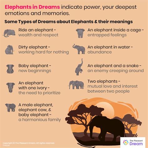 The Significance and Interpretations of Elephant Dreams Submerged in Aquatic Environments