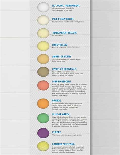 The Significance and Origins of Different Urine Colors