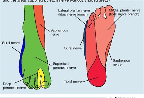 The Significance and Representation of Dreams Involving a Piercing Sensation in one's Foot