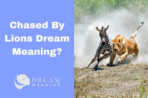 The Significance and Symbolism of Being Chased by Majestic Lions in Dreams
