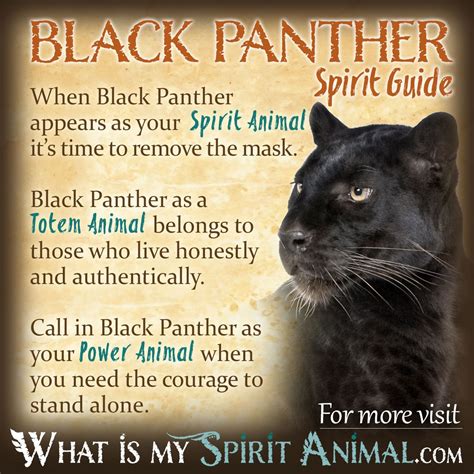 The Significance of Black Panther in Indigenous Cultures