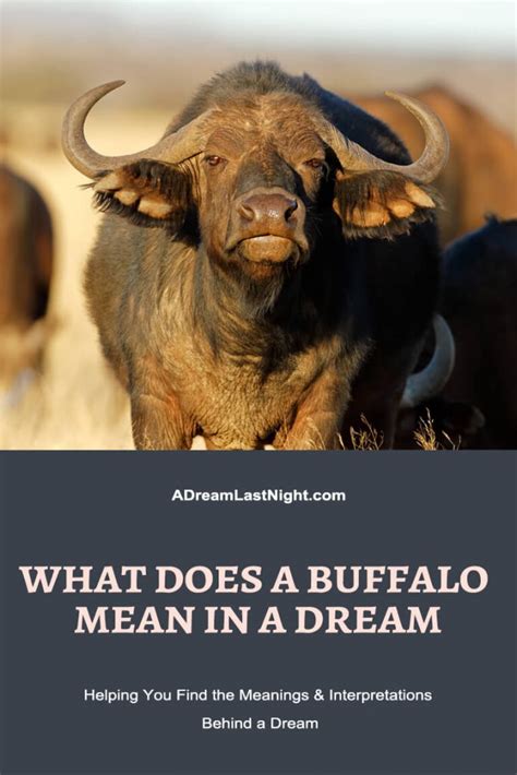 The Significance of Buffalo Dreams in Various Cultural Contexts