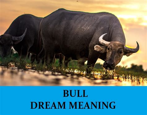 The Significance of Bulls in Dreams
