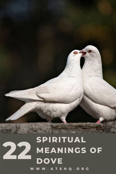 The Significance of Capturing a Dove: Exploring the Symbolic Meanings