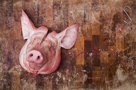The Significance of Coming Across a Slaughtered Pig in Your Dreams