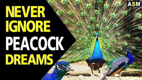 The Significance of Dream Analysis in Understanding Peacock Bite Dreams