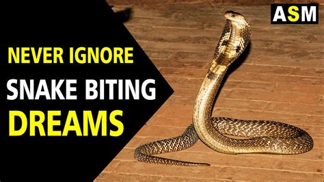 The Significance of Dreaming About Being Bitten by a Cobra