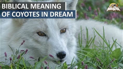 The Significance of Dreaming About a Coyote Inside Your Home