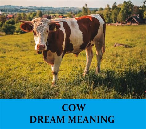 The Significance of Dreaming about Carrying a Bovine Companion