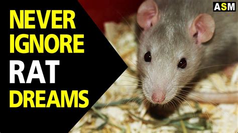 The Significance of Dreaming about Deceased Mice and Rats