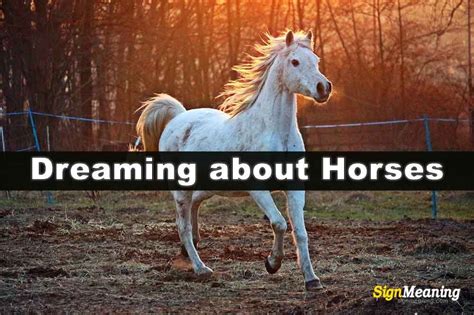 The Significance of Dreaming about a Horse's Lethal Intentions