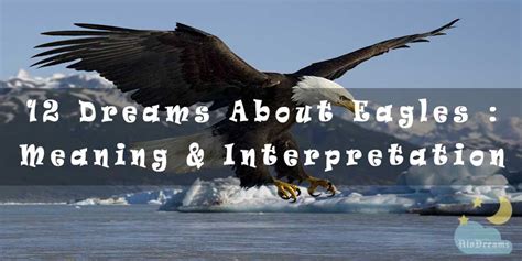 The Significance of Eagles in the Interpretation of Chasing Dreams