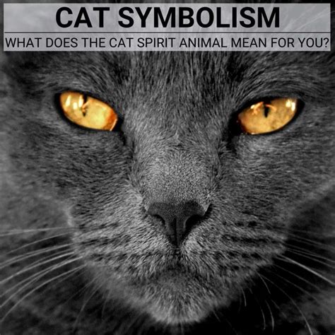 The Significance of Feline Symbolism in Dreamscapes