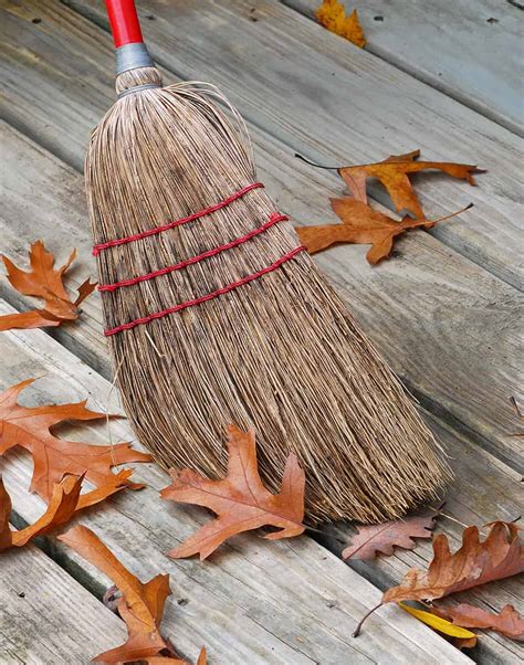 The Significance of Finding the Ideal Broom