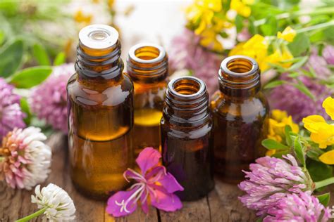 The Significance of Fragrances in Aromatherapy and Wellbeing