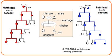 The Significance of Kinship: Analyzing the Depiction of Relatives in Dreams