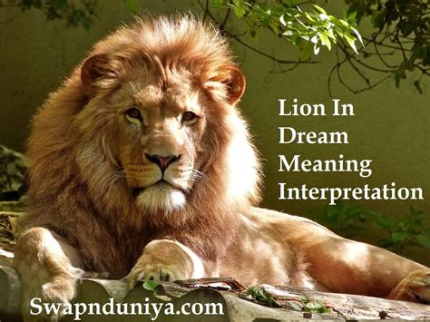 The Significance of Lions in Dreams