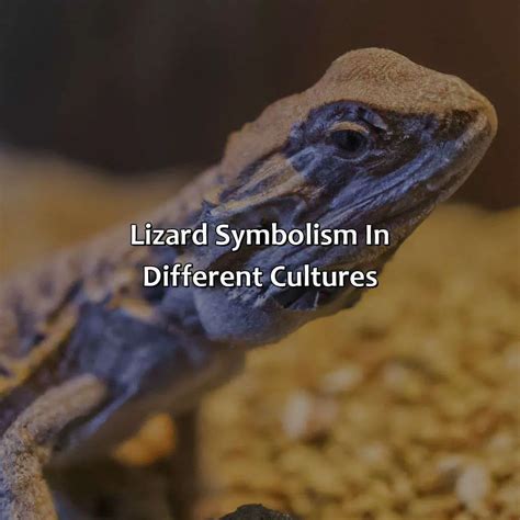The Significance of Lizards in Different Cultures