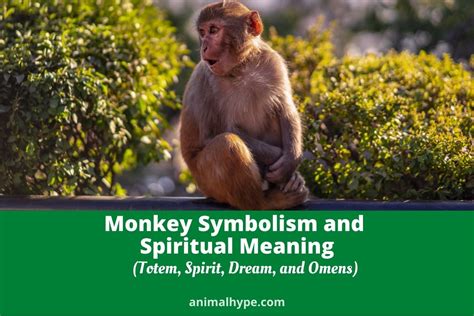 The Significance of Monkey Symbolism in Dreams