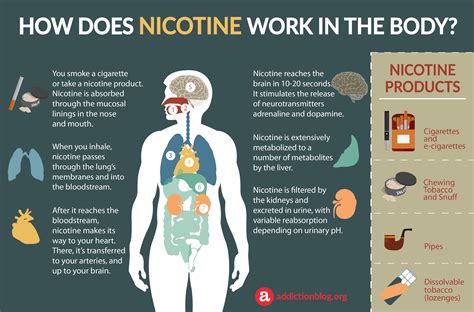 The Significance of Nicotine-Induced Dreams in Sustaining Tobacco Dependency