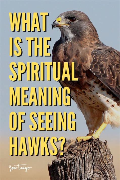 The Significance of Nourishing a Hawk in the Interpretation of Dreams