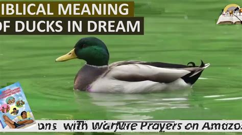The Significance of Observing Ducks in Your Dreams