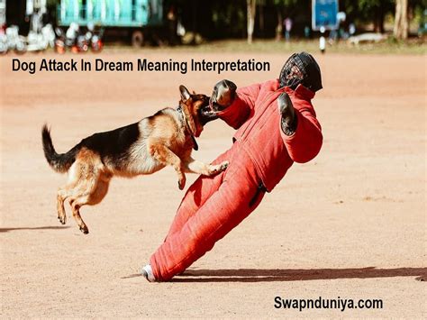 The Significance of Personal Experiences in Interpretations of Canine Attack Nightmares