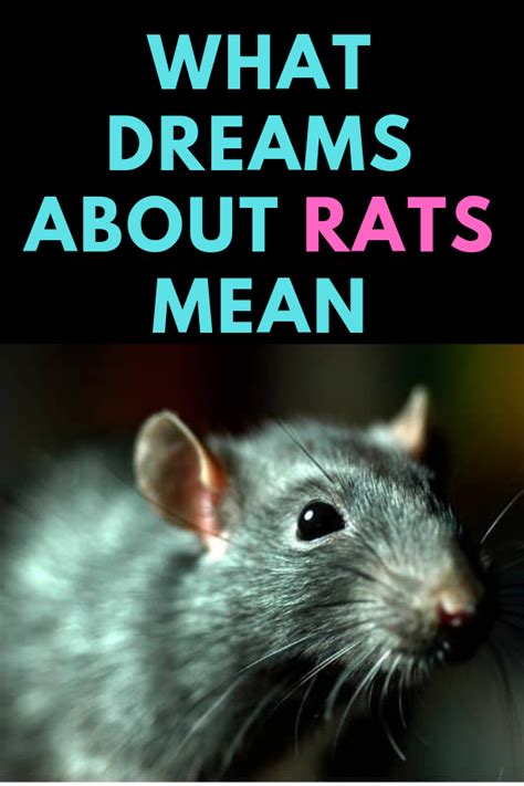 The Significance of Rat Dreams and the Depths of the Unconscious Mind