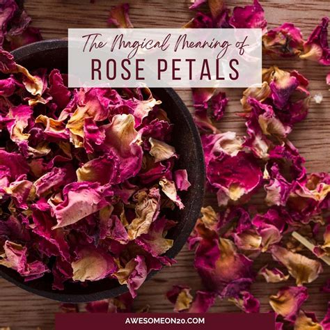 The Significance of Rose Petals in Historical Indulgence
