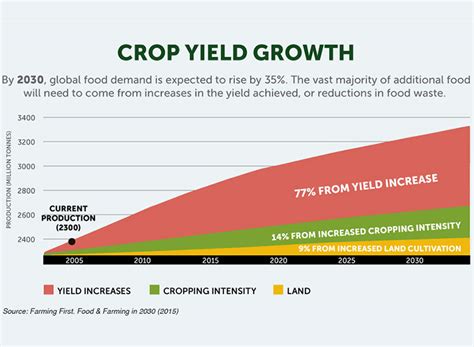 The Significance of Size: How Large Seeds Impact Crop Yield