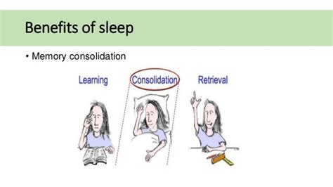 The Significance of Sleep for Enhancing Memory Consolidation