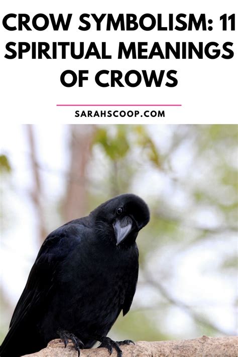 The Significance of Symbolism: Exploring the Meaning behind the Presence of Crows in Dreams