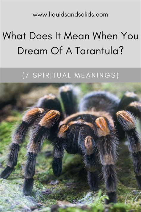 The Significance of Tarantula Dreams in Self-Reflection and Personal Growth