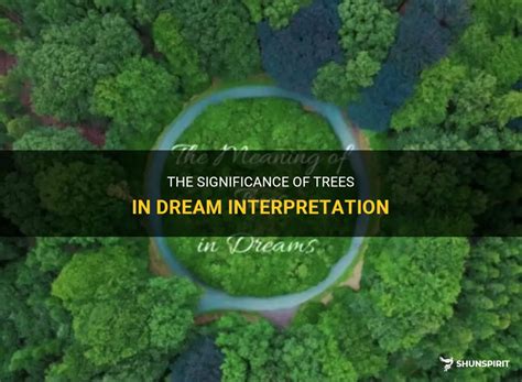 The Significance of Trees in Dreams: Establishing a Connection with Nature and the Depths of the Mind
