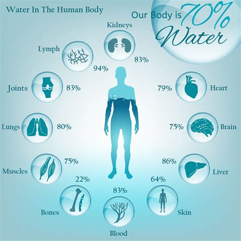 The Significance of Water