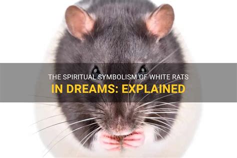 The Significance of White Rats in Dreams