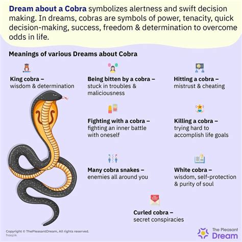 The Significance of Witnessing a Black Cobra in a Dream