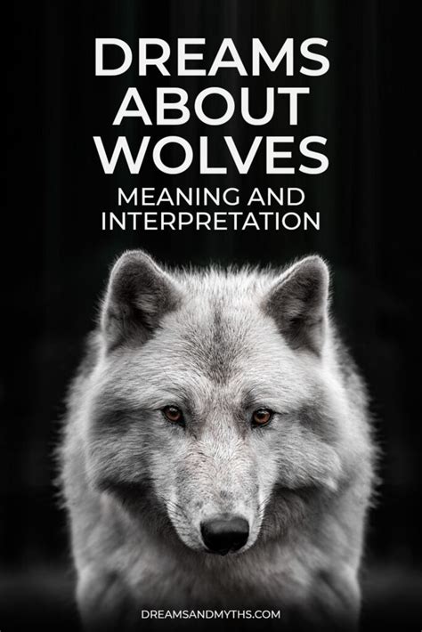 The Significance of Wolf Dreams in Various Contexts