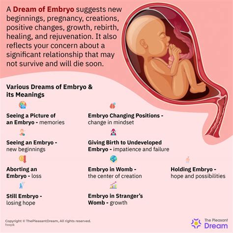 The Significance of a Departed Embryo in Dreams: A Voyage towards Healing and Closure